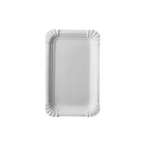 250 Assiettes plate carton blanc 100x160