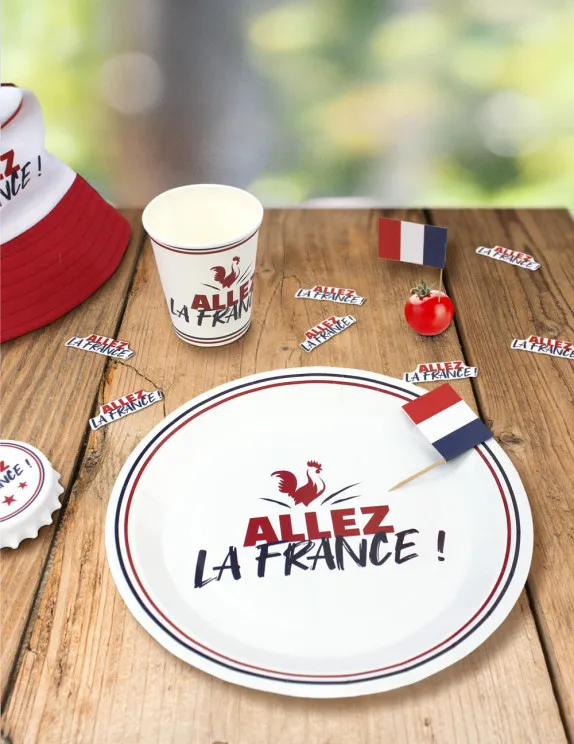 6 Assiettes en carton 