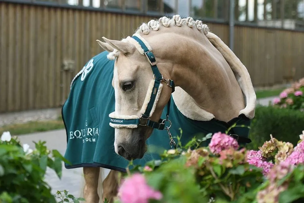 Licol doublé mouton et longe Equestrian Stockholm - Emerald