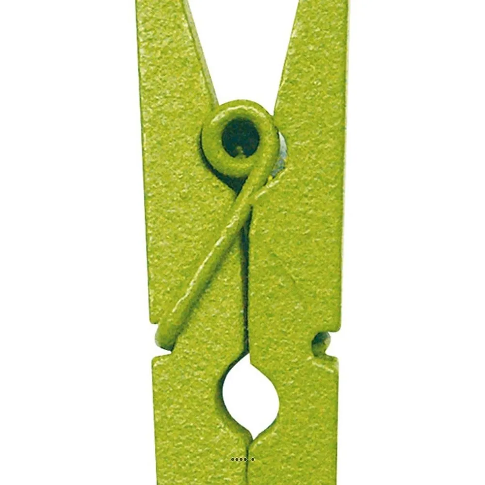 Pinces x12 en bois colore vert h3 5cm vert anis