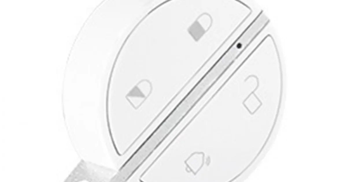 Somfy Protect Somfy Key Fob Badge Télécommande | Windowo