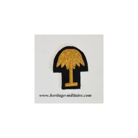 South Carolina embroidered officer badge for képi