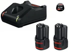 STARTER SET 2X3,0AH CARTON BOSCH 1600A019RD