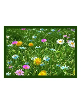 Tapis Creation Grassfiel Green50x80 - VICA - 116269